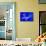 Brown Jellyfish-David Nunuk-Framed Premier Image Canvas displayed on a wall