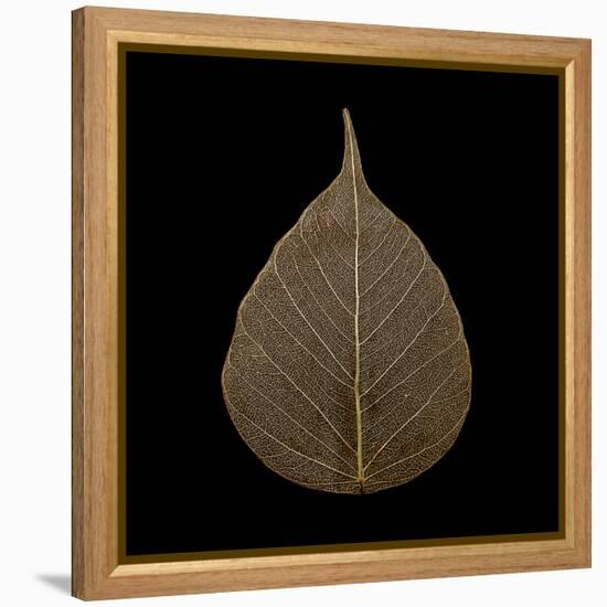 Brown Leaf-null-Framed Premier Image Canvas