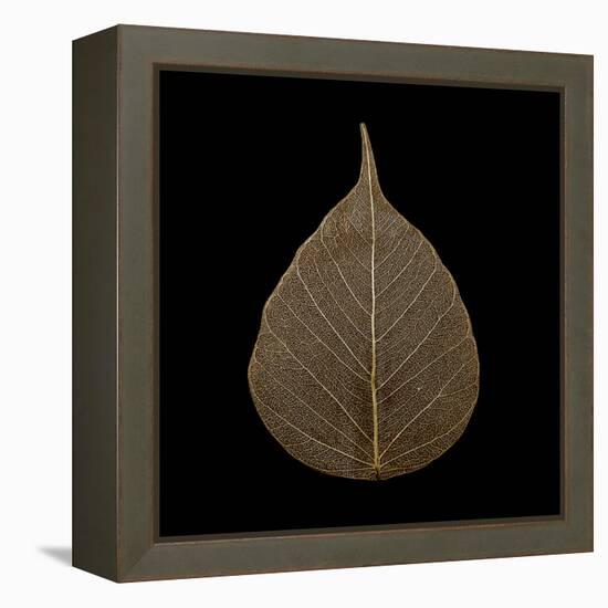 Brown Leaf-null-Framed Premier Image Canvas