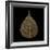 Brown Leaf-null-Framed Photographic Print