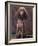 Brown Miniature Poodle Studio Portrait with Full Ears But Most of Its Hair Clipped-Adriano Bacchella-Framed Photographic Print