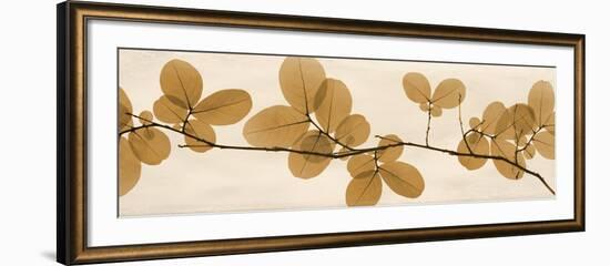 Brown Myrtle Moments-Albert Koetsier-Framed Art Print