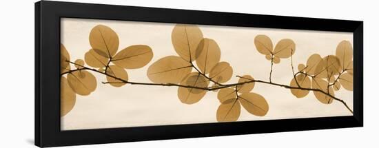 Brown Myrtle Moments-Albert Koetsier-Framed Art Print