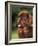 Brown Newfoundland Portrait-Adriano Bacchella-Framed Photographic Print