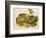 Brown, or Norway Rat, Engraved by John T. Bowen (1801-C.56) Published 1845-John James Audubon-Framed Giclee Print