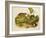 Brown, or Norway Rat, Engraved by John T. Bowen (1801-C.56) Published 1845-John James Audubon-Framed Giclee Print