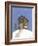 Brown Outhouse-Debbie McMaster-Framed Giclee Print