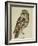 Brown Owl (Strix Ulula)-Rev. C. Atkinson-Framed Giclee Print