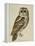 Brown Owl (Strix Ulula)-Rev. C. Atkinson-Framed Premier Image Canvas