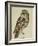 Brown Owl (Strix Ulula)-Reverend Christopher Atkinson-Framed Giclee Print