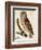 Brown Owl-Mindy Sommers-Framed Giclee Print