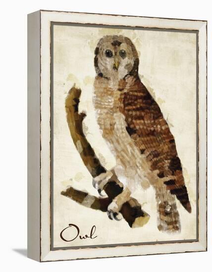 Brown Owl-Mindy Sommers-Framed Premier Image Canvas