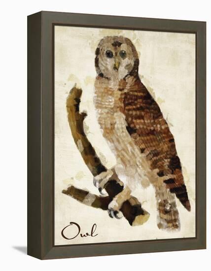 Brown Owl-Mindy Sommers-Framed Premier Image Canvas