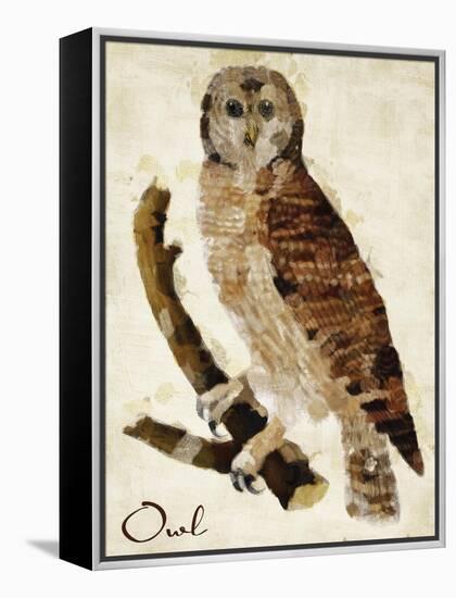 Brown Owl-Mindy Sommers-Framed Premier Image Canvas