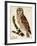 Brown Owl-Mindy Sommers-Framed Giclee Print
