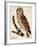 Brown Owl-Mindy Sommers-Framed Giclee Print