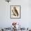 Brown Owl-Mindy Sommers-Framed Giclee Print displayed on a wall