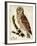 Brown Owl-Mindy Sommers-Framed Giclee Print