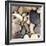 Brown Pebbles-null-Framed Premium Photographic Print