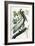 Brown Pelican, 1835-John James Audubon-Framed Giclee Print