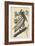 Brown Pelican, 1835-John James Audubon-Framed Giclee Print