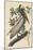 Brown Pelican, 1835-John James Audubon-Mounted Giclee Print
