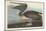 Brown Pelican, 1838-John James Audubon-Mounted Giclee Print