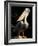 Brown Pelican, Brazil-Gavriel Jecan-Framed Photographic Print