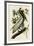 Brown Pelican II-John James Audubon-Framed Giclee Print