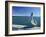 Brown Pelican in Front of the Sunshine Skyway Bridge at Tampa Bay, Florida, USA-Tomlinson Ruth-Framed Photographic Print