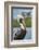 Brown pelican, New Smyrna Beach, Florida, USA-Lisa Engelbrecht-Framed Photographic Print