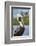 Brown pelican, New Smyrna Beach, Florida, USA-Lisa Engelbrecht-Framed Photographic Print