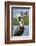 Brown pelican, New Smyrna Beach, Florida, USA-Lisa Engelbrecht-Framed Photographic Print