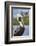 Brown pelican, New Smyrna Beach, Florida, USA-Lisa Engelbrecht-Framed Photographic Print