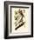 Brown Pelican, Pelecanus Occidentalis-John James Audubon-Framed Giclee Print