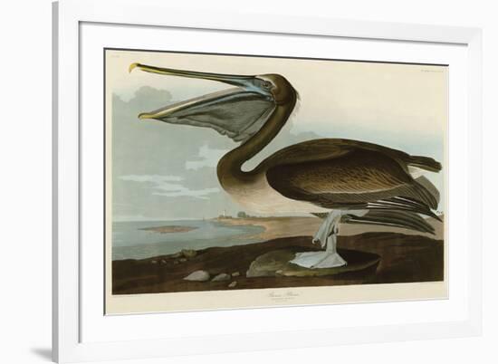 Brown Pelican-John James Audubon-Framed Art Print