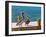 Brown Pelican-Joe Restuccia III-Framed Photographic Print