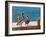 Brown Pelican-Joe Restuccia III-Framed Photographic Print