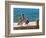 Brown Pelican-Joe Restuccia III-Framed Photographic Print