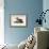 Brown Pelican-John James Audubon-Framed Giclee Print displayed on a wall