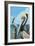 Brown Pelican-Lantern Press-Framed Art Print