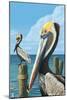 Brown Pelican-Lantern Press-Mounted Art Print