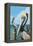 Brown Pelican-Lantern Press-Framed Stretched Canvas