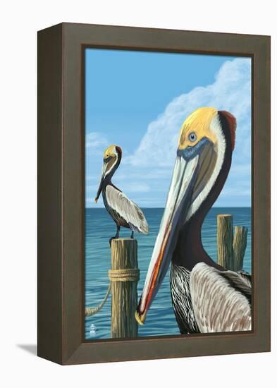 Brown Pelican-Lantern Press-Framed Stretched Canvas