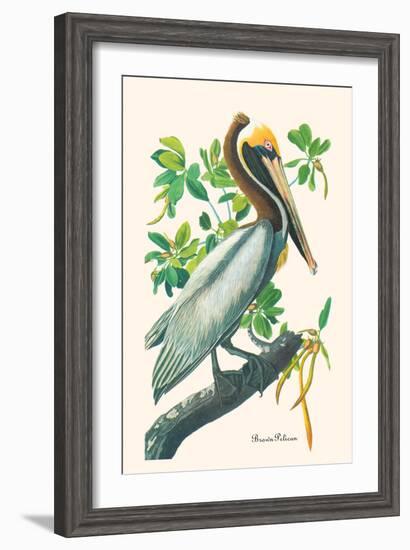 Brown Pelican-John James Audubon-Framed Art Print