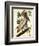 Brown Pelican-John James Audubon-Framed Premium Giclee Print