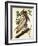 Brown Pelican-John James Audubon-Framed Premium Giclee Print