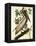 Brown Pelican-John James Audubon-Framed Stretched Canvas