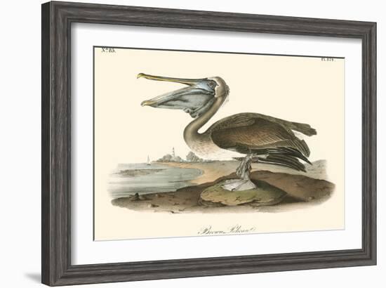 Brown Pelican-John James Audubon-Framed Art Print