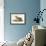 Brown Pelican-John James Audubon-Framed Art Print displayed on a wall